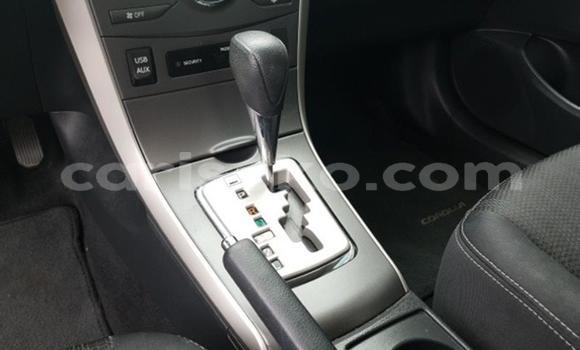 Buy Import Toyota Corolla Red Car in Kigali in Rwanda Buy Import Toyota Corolla Red Car in Kigali in Rwanda