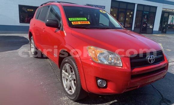 Buy Used Toyota RAV4 Red Car in Kigali in Rwanda Buy Used Toyota RAV4 Red Car in Kigali in Rwanda