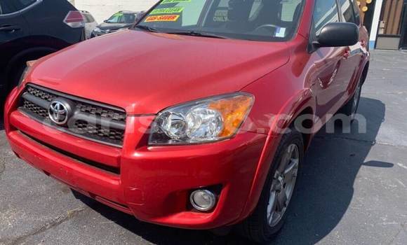 Buy Used Toyota RAV4 Red Car in Kigali in Rwanda Buy Used Toyota RAV4 Red Car in Kigali in Rwanda