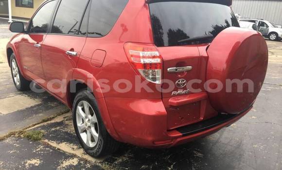 Buy Used Toyota RAV4 Red Car in Kigali in Rwanda Buy Used Toyota RAV4 Red Car in Kigali in Rwanda