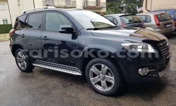 Buy Used Toyota RAV4 Beige Car in Kigali in Rwanda Buy Used Toyota RAV4 Beige Car in Kigali in Rwanda