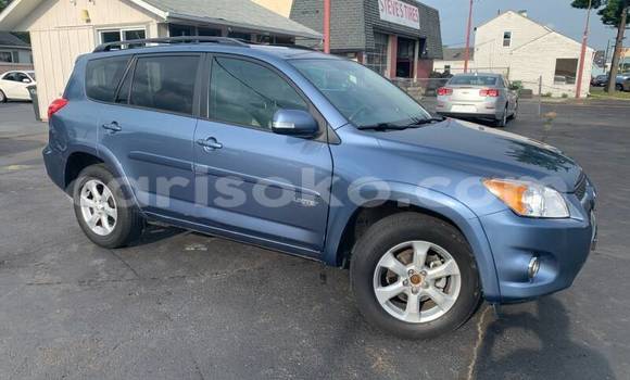 Buy Used Toyota RAV4 Beige Car in Kigali in Rwanda Buy Used Toyota RAV4 Beige Car in Kigali in Rwanda