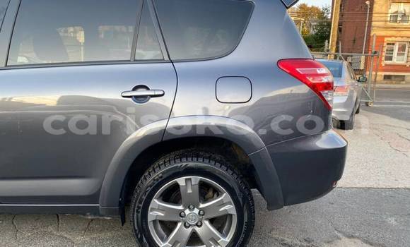 Buy Used Toyota RAV4 Beige Car in Kigali in Rwanda Buy Used Toyota RAV4 Beige Car in Kigali in Rwanda