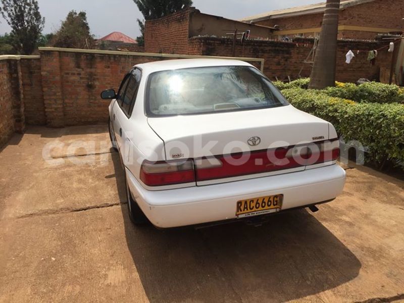 Big with watermark 14361282 1124790234235133 2594489126237502130 o