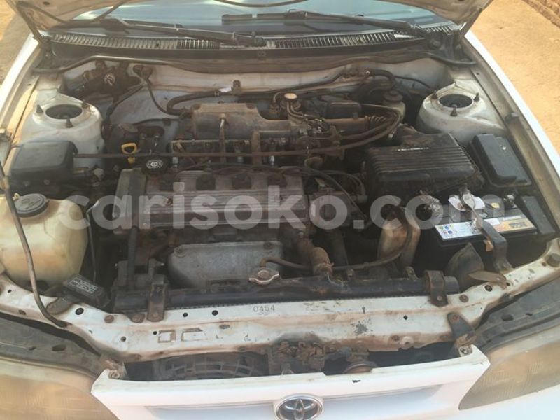 Big with watermark 14425547 1124790207568469 6518887933210591088 o