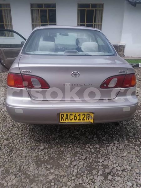 Big with watermark 46184602 1930726380315617 8911647240406171648 n