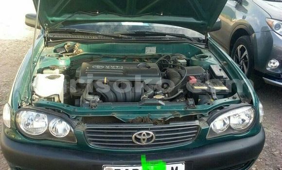 اشتري مستعمل Toyota Corolla Vert سيارة في Kigali في Rwanda اشتري مستعمل Toyota Corolla Vert سيارة في Kigali في Rwanda