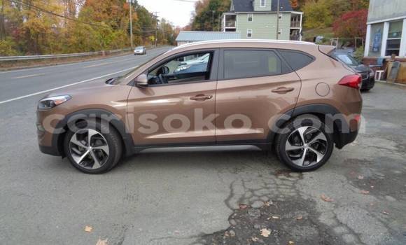 Buy Used Hyundai Tucson Brown Car in Kigali in Rwanda Buy Used Hyundai Tucson Brown Car in Kigali in Rwanda