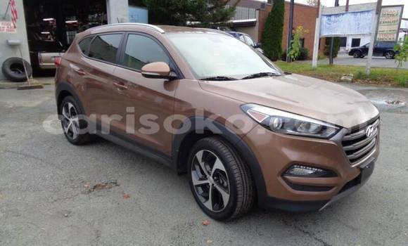 Buy Used Hyundai Tucson Brown Car in Kigali in Rwanda Buy Used Hyundai Tucson Brown Car in Kigali in Rwanda