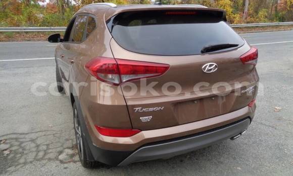 Buy Used Hyundai Tucson Brown Car in Kigali in Rwanda Buy Used Hyundai Tucson Brown Car in Kigali in Rwanda