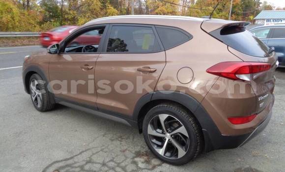 Buy Used Hyundai Tucson Brown Car in Kigali in Rwanda Buy Used Hyundai Tucson Brown Car in Kigali in Rwanda