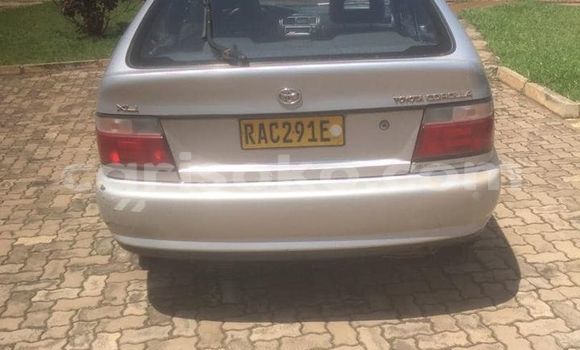اشتري مستعمل Toyota Corolla Gris سيارة في Bokwango في Rwanda اشتري مستعمل Toyota Corolla Gris سيارة في Bokwango في Rwanda