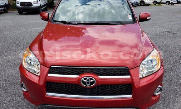 Buy Used Toyota RAV4 Red Car in Kigali in Rwanda Buy Used Toyota RAV4 Red Car in Kigali in Rwanda
