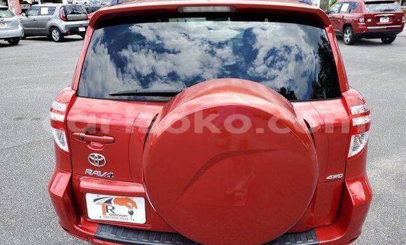 Buy Used Toyota RAV4 Red Car in Kigali in Rwanda Buy Used Toyota RAV4 Red Car in Kigali in Rwanda