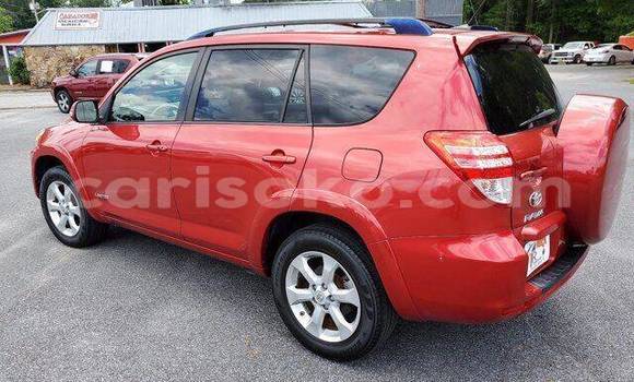 Buy Used Toyota RAV4 Red Car in Kigali in Rwanda Buy Used Toyota RAV4 Red Car in Kigali in Rwanda