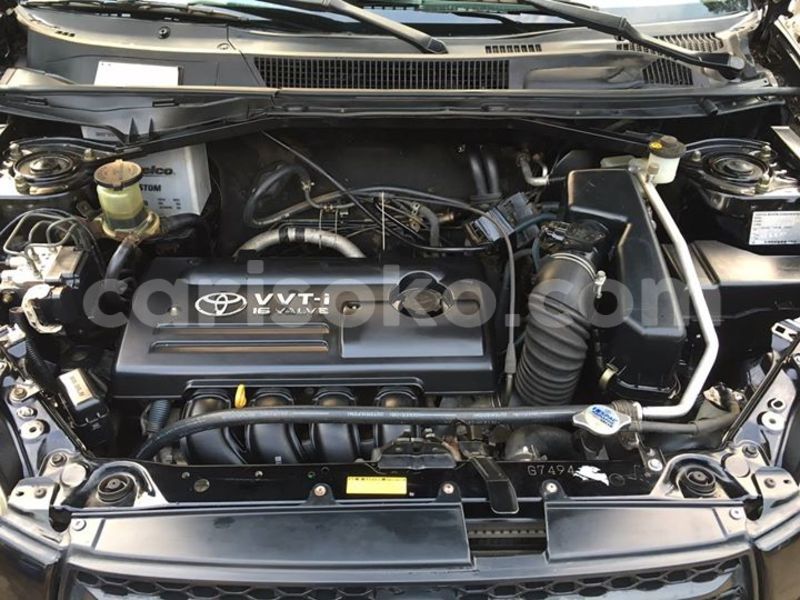 Big with watermark 14425547 1124790207568469 6518887933210591088 o