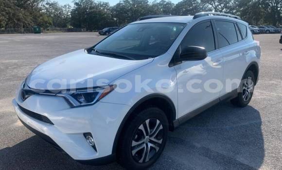 Buy Used Toyota RAV4 White Car in Kigali in Rwanda Buy Used Toyota RAV4 White Car in Kigali in Rwanda