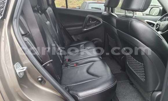 Buy Used Toyota RAV4 Brown Car in Kigali in Rwanda Buy Used Toyota RAV4 Brown Car in Kigali in Rwanda