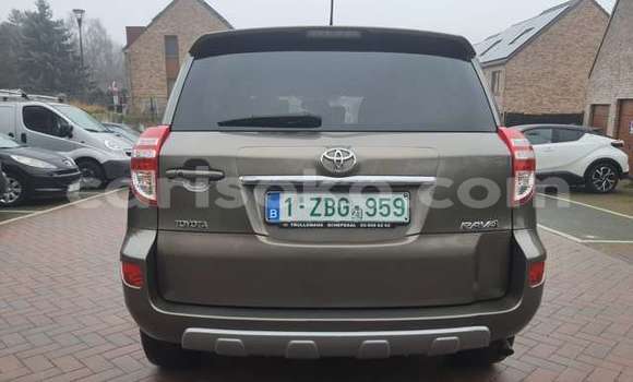 Buy Used Toyota RAV4 Brown Car in Kigali in Rwanda Buy Used Toyota RAV4 Brown Car in Kigali in Rwanda