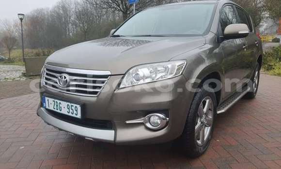Buy Used Toyota RAV4 Brown Car in Kigali in Rwanda Buy Used Toyota RAV4 Brown Car in Kigali in Rwanda