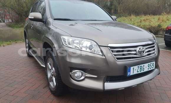 Buy Used Toyota RAV4 Brown Car in Kigali in Rwanda Buy Used Toyota RAV4 Brown Car in Kigali in Rwanda