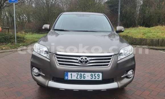 Buy Used Toyota RAV4 Brown Car in Kigali in Rwanda Buy Used Toyota RAV4 Brown Car in Kigali in Rwanda