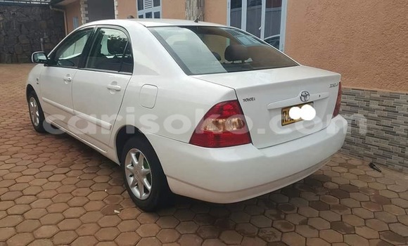 Acheter Occasion Voiture Toyota Corolla Blanc à Bokwango, Rwanda Acheter Occasion Voiture Toyota Corolla Blanc à Bokwango, Rwanda