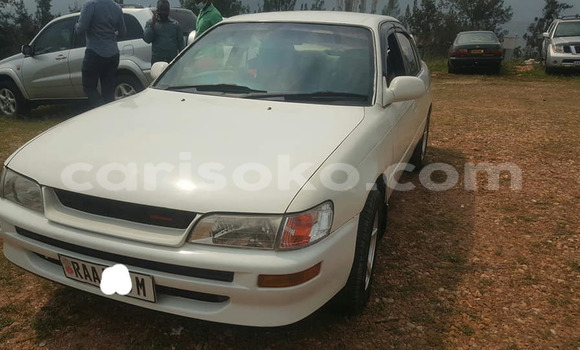 Buy Used Toyota Corolla White Car in Bokwango in Rwanda Buy Used Toyota Corolla White Car in Bokwango in Rwanda