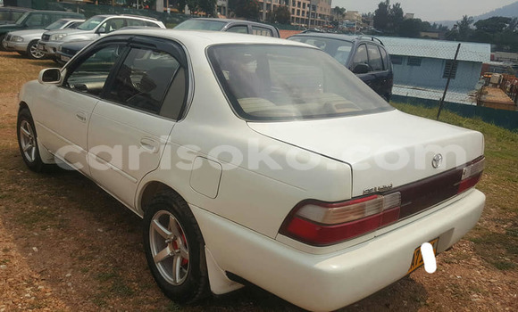 Buy Used Toyota Corolla White Car in Bokwango in Rwanda Buy Used Toyota Corolla White Car in Bokwango in Rwanda