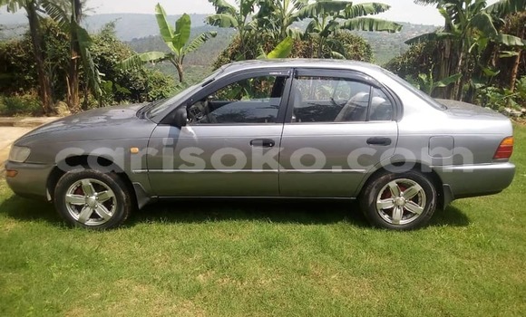 Acheter Occasion Voiture Toyota Corolla Autre à Bokwango, Rwanda Acheter Occasion Voiture Toyota Corolla Autre à Bokwango, Rwanda
