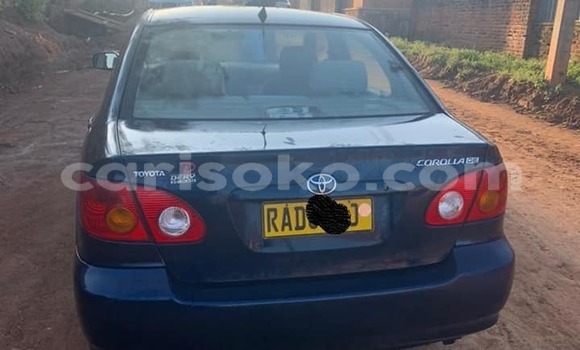 Acheter Occasion Voiture Toyota Corolla Bleu à Kigali, Rwanda Acheter Occasion Voiture Toyota Corolla Bleu à Kigali, Rwanda