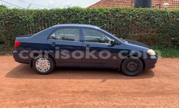 Acheter Occasion Voiture Toyota Corolla Bleu à Kigali, Rwanda Acheter Occasion Voiture Toyota Corolla Bleu à Kigali, Rwanda