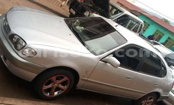 Acheter Occasion Voiture Toyota Corolla Gris à Kigali, Rwanda Acheter Occasion Voiture Toyota Corolla Gris à Kigali, Rwanda