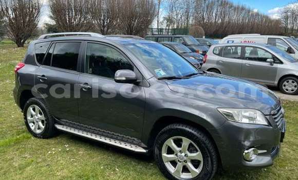 Buy Used Toyota RAV4 Beige Car in Kigali in Rwanda Buy Used Toyota RAV4 Beige Car in Kigali in Rwanda