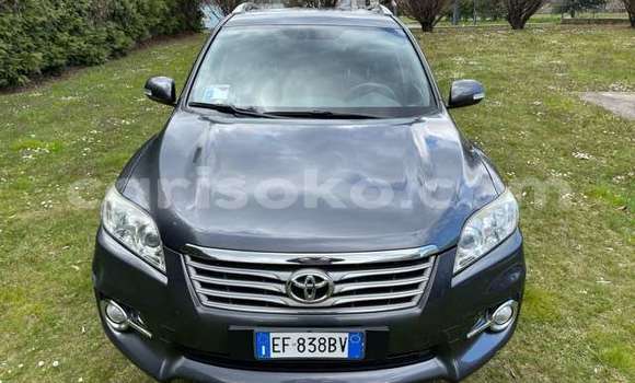 Buy Used Toyota RAV4 Beige Car in Kigali in Rwanda Buy Used Toyota RAV4 Beige Car in Kigali in Rwanda
