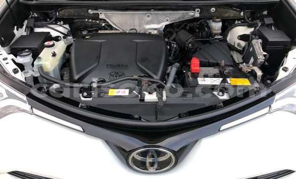 Buy Used Toyota RAV4 White Car in Kigali in Rwanda Buy Used Toyota RAV4 White Car in Kigali in Rwanda