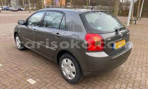 Buy Used Toyota Corolla Beige Car in Kigali in Rwanda Buy Used Toyota Corolla Beige Car in Kigali in Rwanda