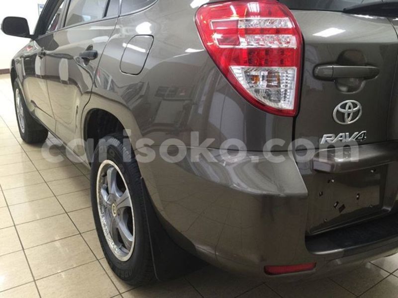 Big with watermark 14572839 1276538899057194 7605807282165903254 n