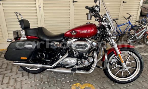 Buy Used Harley Davidson SUPERLOW Red Bike in Kigali in Rwanda Buy Used Harley Davidson SUPERLOW Red Bike in Kigali in Rwanda