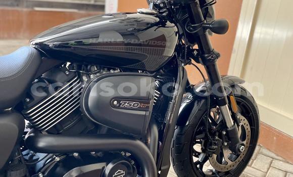 Buy Used Harley Davidson Street Black Bike in Kigali in Rwanda Buy Used Harley Davidson Street Black Bike in Kigali in Rwanda