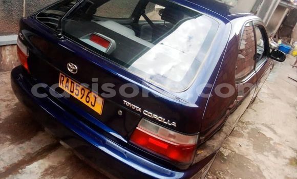اشتري مستعمل Toyota Corolla Bleu سيارة في Kigali في Rwanda اشتري مستعمل Toyota Corolla Bleu سيارة في Kigali في Rwanda