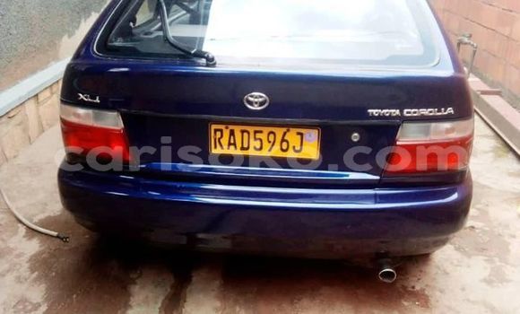 اشتري مستعمل Toyota Corolla Bleu سيارة في Kigali في Rwanda اشتري مستعمل Toyota Corolla Bleu سيارة في Kigali في Rwanda