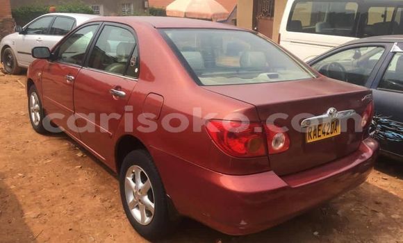 اشتري مستعمل Toyota Corolla Rouge سيارة في Kigali في Rwanda اشتري مستعمل Toyota Corolla Rouge سيارة في Kigali في Rwanda