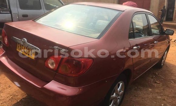 اشتري مستعمل Toyota Corolla Rouge سيارة في Kigali في Rwanda اشتري مستعمل Toyota Corolla Rouge سيارة في Kigali في Rwanda