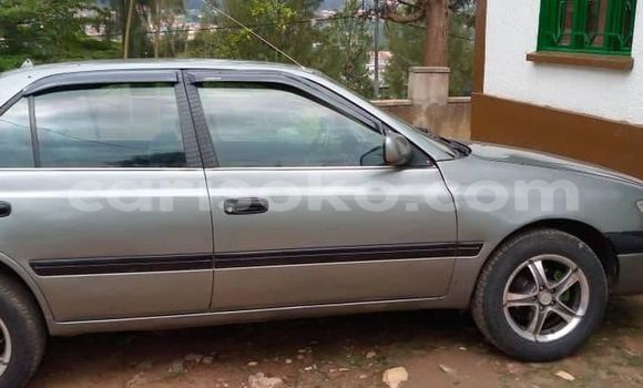 اشتري مستعمل Toyota Corolla Gris سيارة في Kigali في Rwanda اشتري مستعمل Toyota Corolla Gris سيارة في Kigali في Rwanda