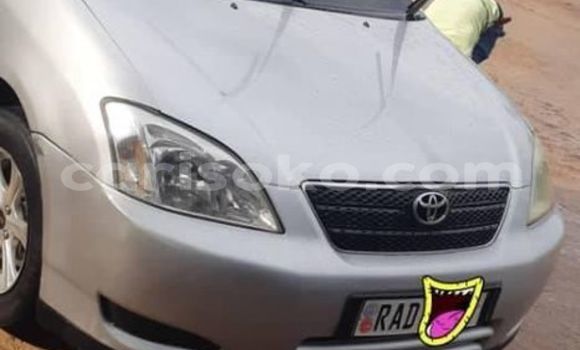 Acheter Occasion Voiture Toyota Corolla Gris à Kigali, Rwanda Acheter Occasion Voiture Toyota Corolla Gris à Kigali, Rwanda