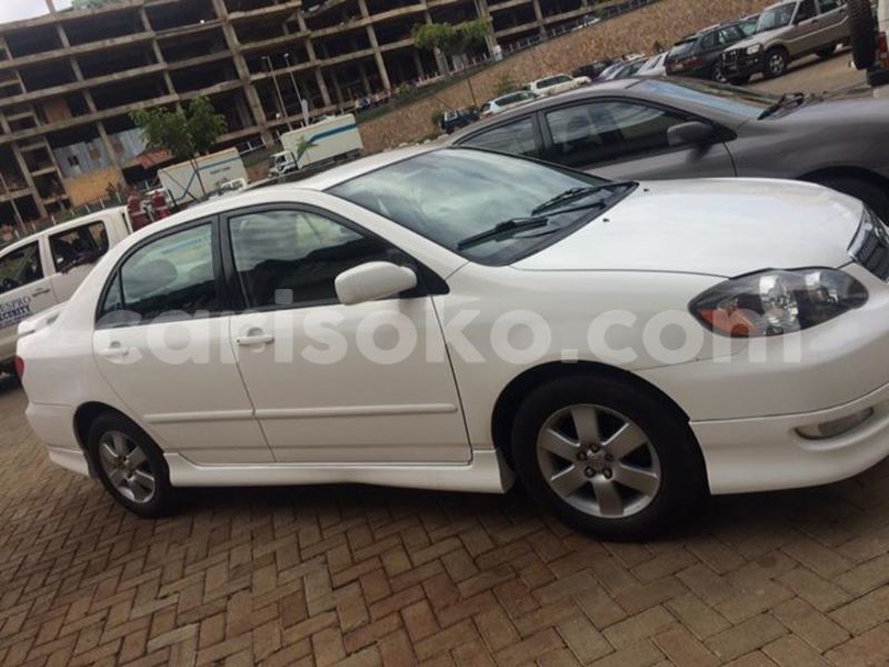 Big with watermark 14572839 1276538899057194 7605807282165903254 n