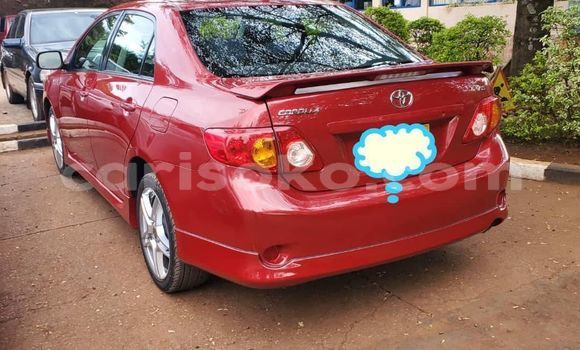 Acheter Occasion Voiture Toyota Allex Rouge à Kigali, Rwanda Acheter Occasion Voiture Toyota Allex Rouge à Kigali, Rwanda