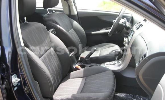 Buy Used Toyota Corolla Black Car in Kigali in Rwanda Buy Used Toyota Corolla Black Car in Kigali in Rwanda