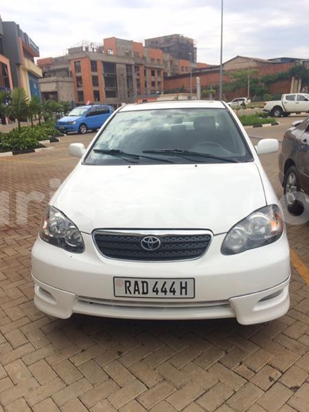 Big with watermark 14695326 1276538865723864 3907257530309395993 n